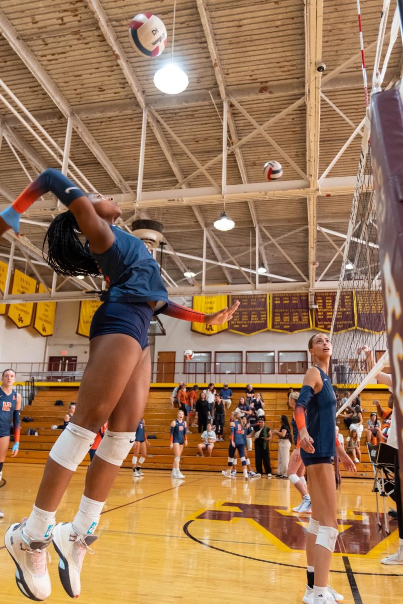 The Wildkit girls' volleyball team lost to Saint Viator in a tough three-set match.