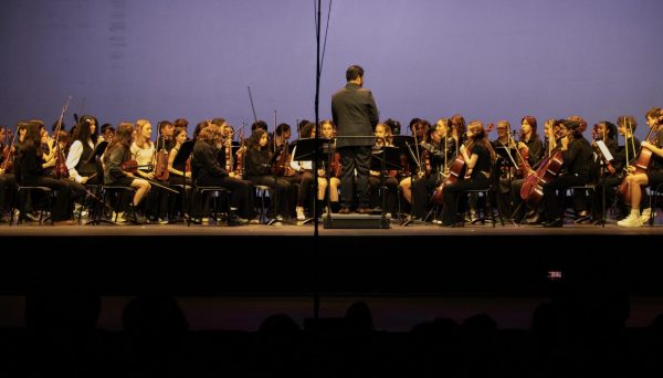 Orchestra concert 11/19, in photos